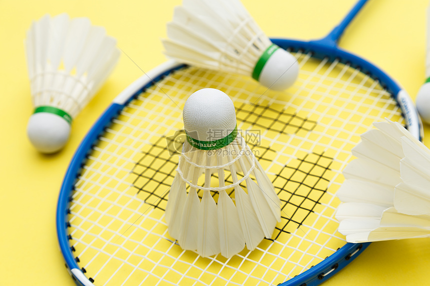 成功斩获了 成功斩获了