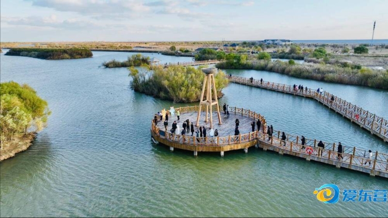 不只是数据 不只是数据